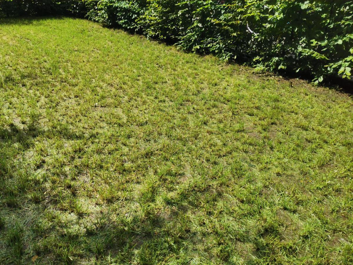 Apartment Near Fair And Central City In Few Min, With Garden Frankfurt am Main Buitenkant foto